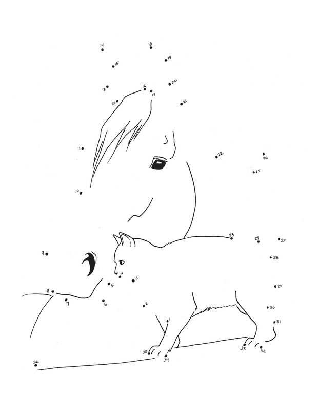 immagine Un gatto e un cavallo